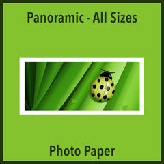 Satin Photo Paper Panoramic