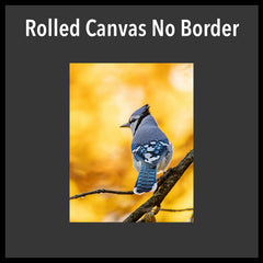 Rolled Canvas No extra Border
