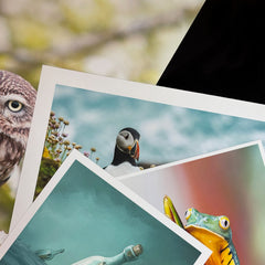 Fine Art Paper Square