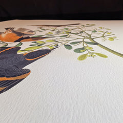 Fine Art Paper Square