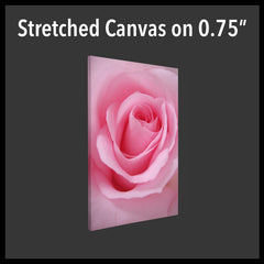 Stretched Canvas on 0.75"