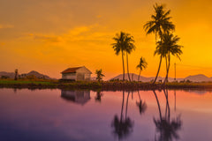 Test Artist Product 2